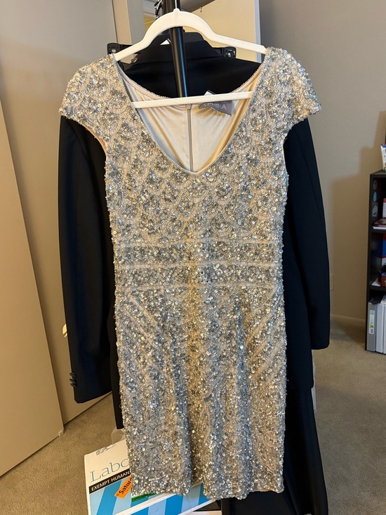 Theia Dresses & Skirts - THEIA Beaded Silver Cocktail Dress